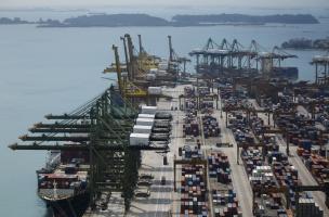 新加坡出口電力超過預期，技術放緩仍在繼續