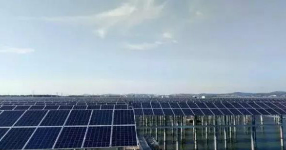 晶澳海外業務增長迅速 巴西、馬來西亞光伏電站均采用其高效單晶PERC組件