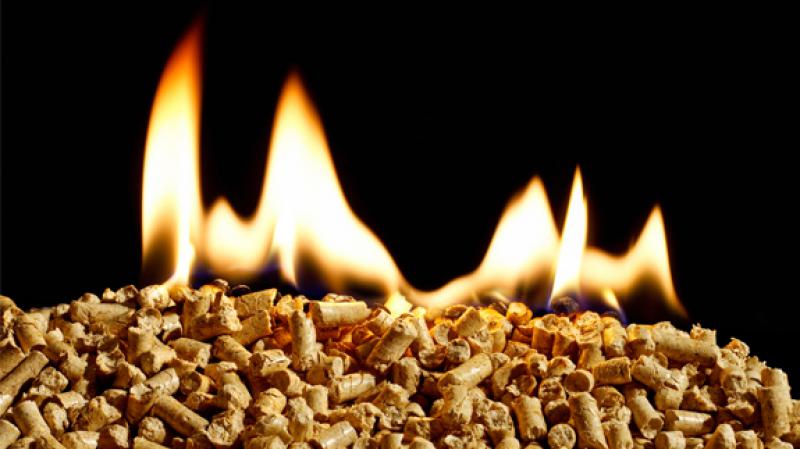 波斯尼亞和黑塞哥維那利用生物質能鍋爐組成的可再生能源發電廠