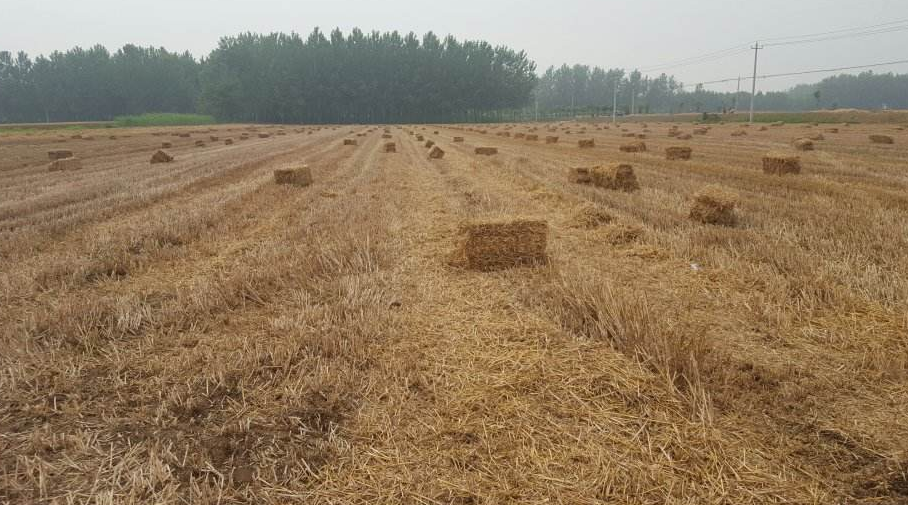 銅山棠張村千戶居民用上沼氣
