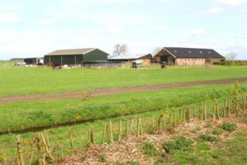 荷蘭的三個(gè)太陽能農(nóng)場(chǎng)得到了一億歐元投資