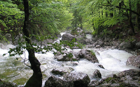 斯洛文尼亞支付6,940萬(wàn)歐元建設(shè)可再生能源