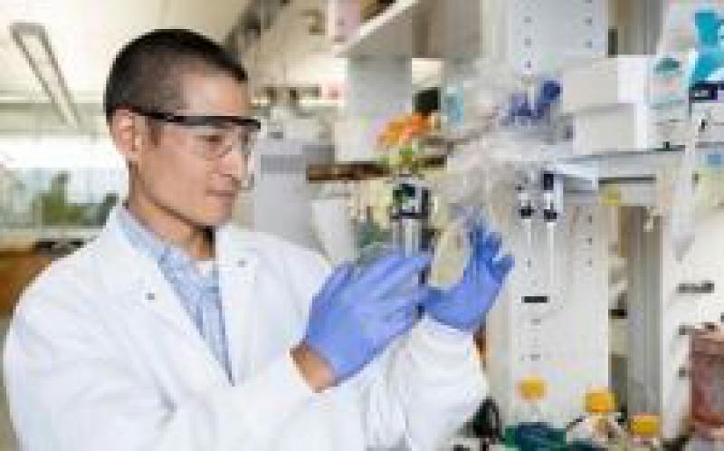 Discovery可保護酵母免受生物燃料生產(chǎn)的損害