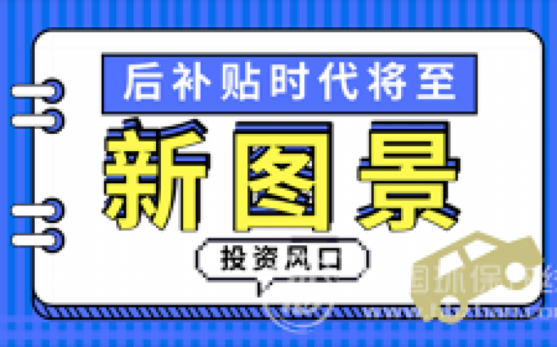 新能源汽車(chē)冰火交替 行業(yè)巨變之際亟待“鯰魚(yú)”入水 
