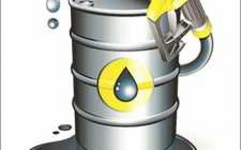 中國(guó)財(cái)團(tuán)參與尼日利亞生物燃料項(xiàng)目