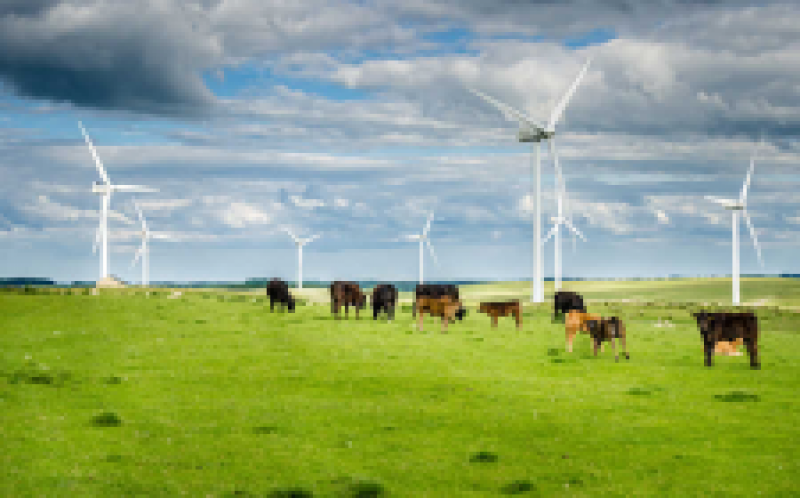 英國達到了風能里程碑：20GW的裝機容量和三分之一的能源組合