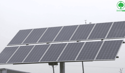 Jastrz?bskaSpó?kaW?glowa的太陽(yáng)能農(nóng)場(chǎng)