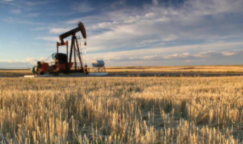 印度原油產量下降4.19％，推動9月份進口依賴度達到83.7％