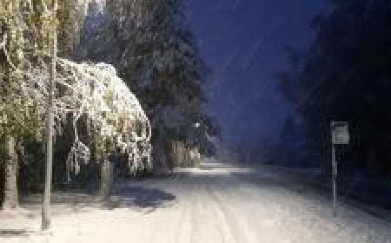 愛沙尼亞南部地區受暴風雪影響，致數萬家庭無電