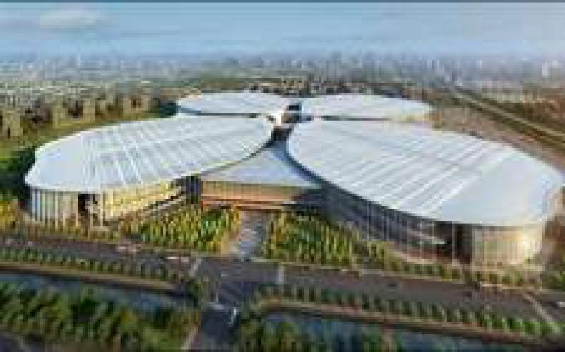 孟振平參加進博會開幕式，加快建設成為具有全球競爭力的世界一流企業，將加強對“一帶一路”沿線國家的能源資源開發與合作