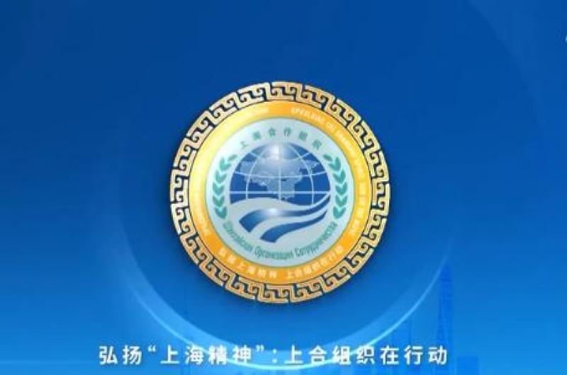 上海合作組織成員國元首理事會關(guān)于能源可持續(xù)發(fā)展的聲明