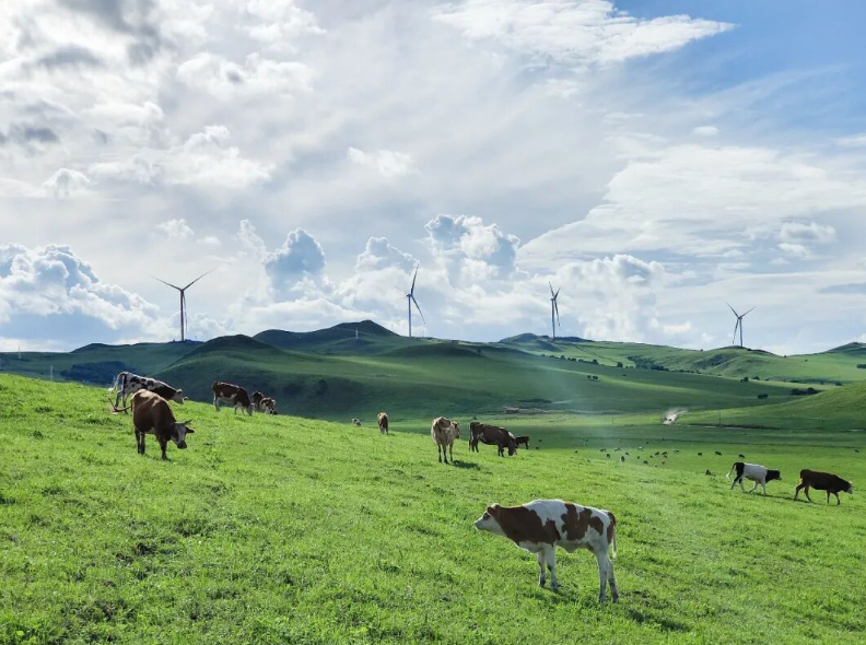 中廣核國內風電、光伏等新能源在運裝機突破7000萬千瓦